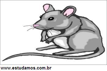 Quebra Cabeça Rato