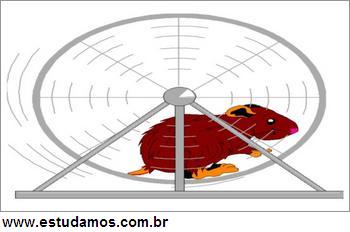 Quebra Cabeça: Hamster