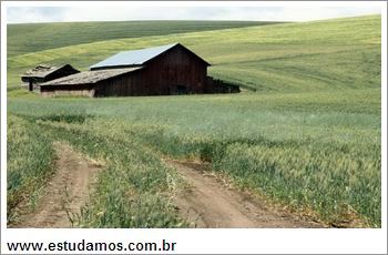 Quebra Cabeça Fazenda