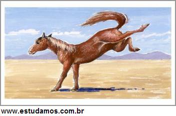 Quebra Cabeça Cavalo 1