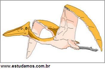 Quebra Cabeça Pterodáctilo