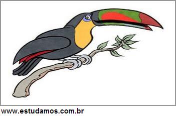 Quebra Cabeça Tucano Colorido