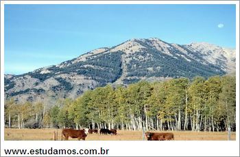 Quebra Cabeça Montanhas