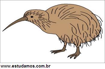 Quebra Cabeça Pássaro Kiwi