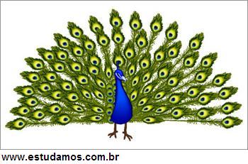 Pavão Azul - Quebra-Cabeça - Geniol